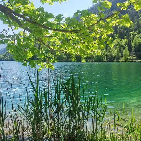 度假居 Saalachau *