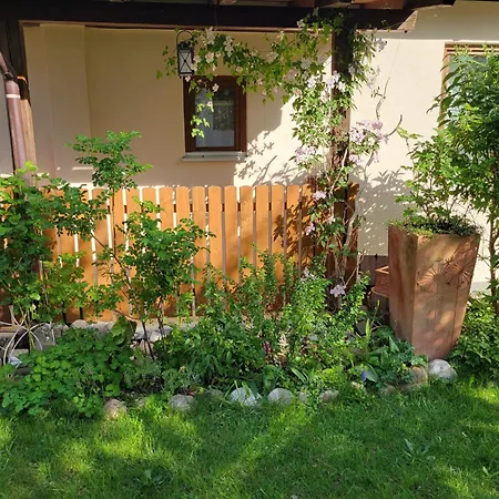 Saalachau Ferienhaus *